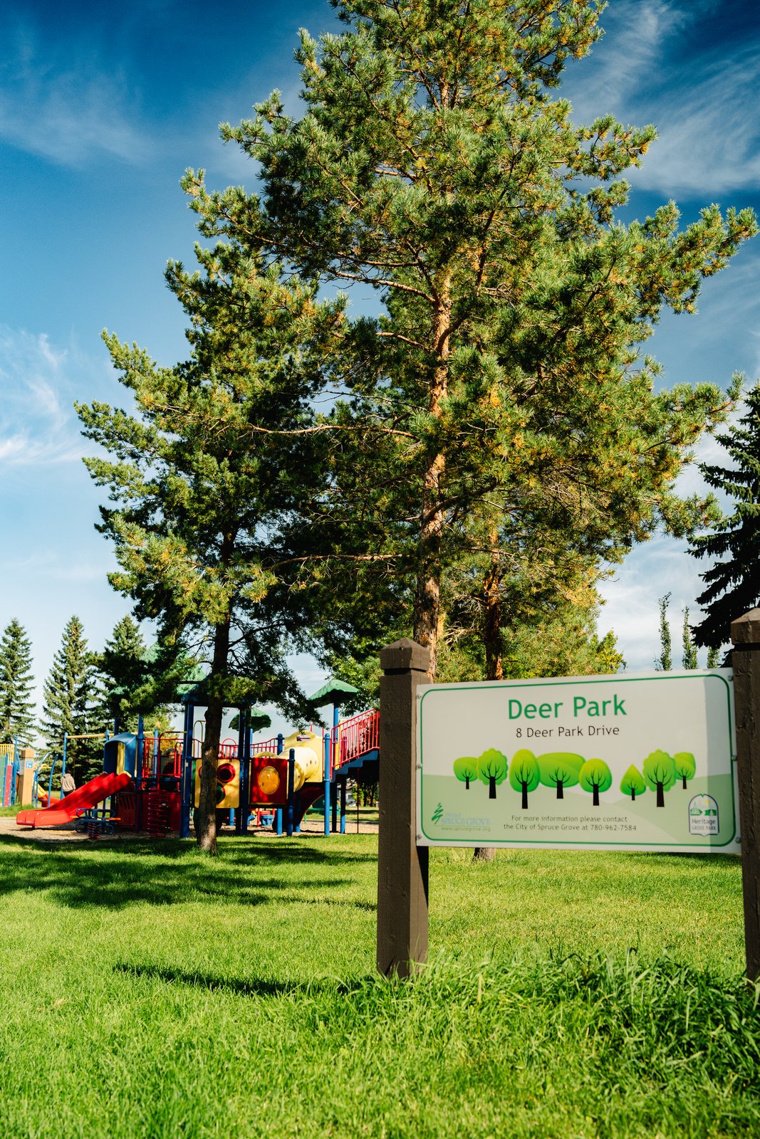 Homes and landscaping at Deer Park Estates