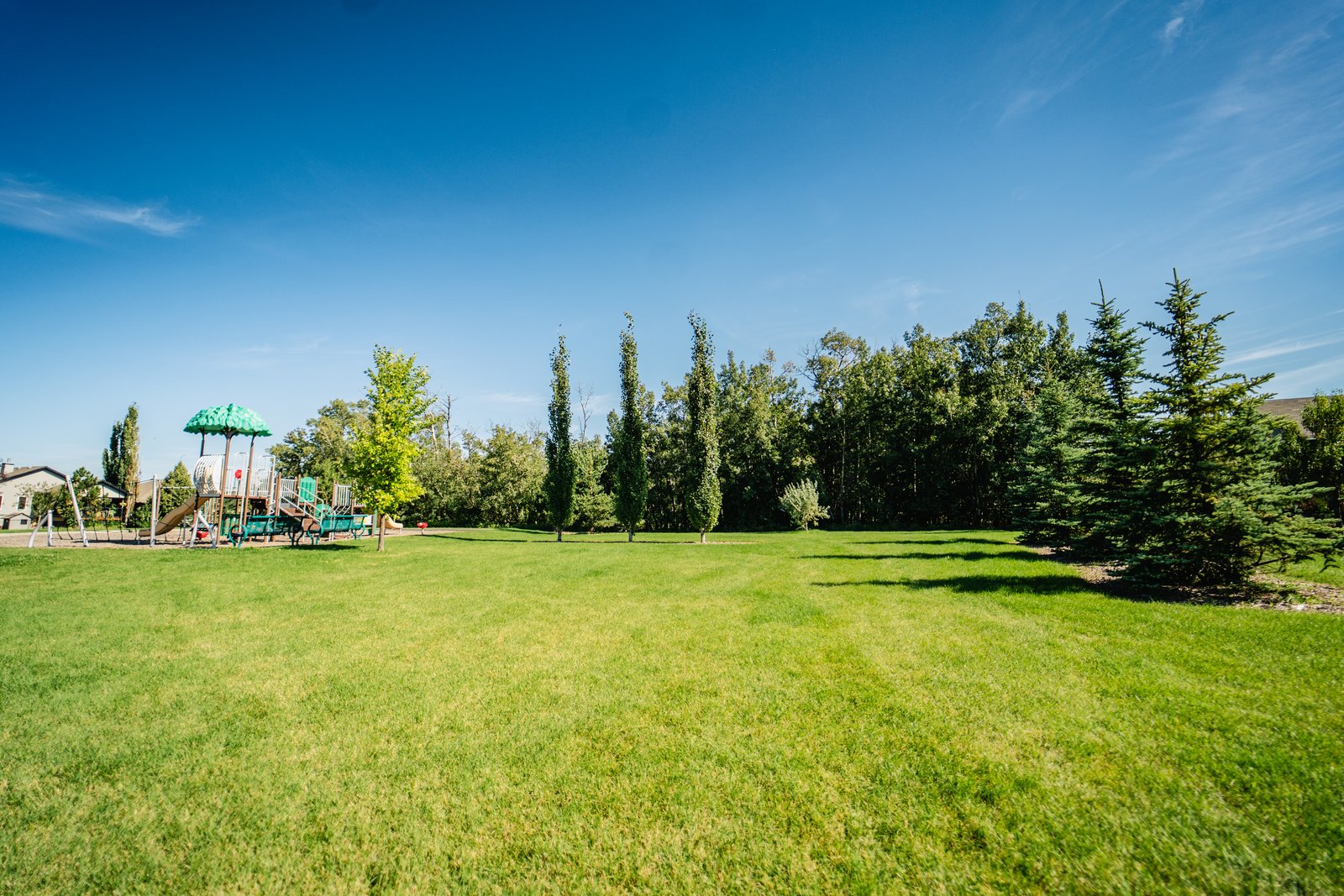 Pathways and homes at Deer Park Estates