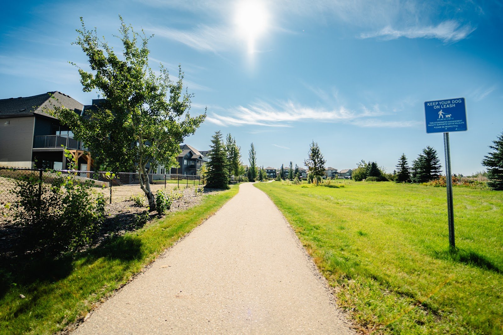 Tree-lined walking trail beside homes